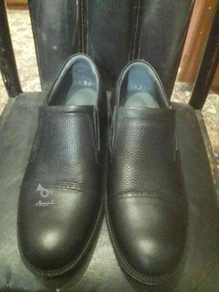 کفش طبی مردانه سایز43 در گروه خرید و فروش لوازم شخصی در مازندران در شیپور-عکس1