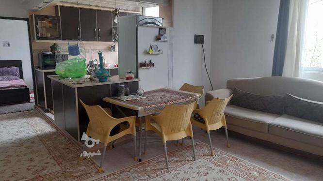 یک واحد آپارتمان مبله در گروه خرید و فروش املاک در مازندران در شیپور-عکس1