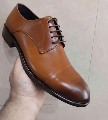 کفش رسمی مردانه در گروه خرید و فروش لوازم شخصی در گیلان در شیپور-عکس1