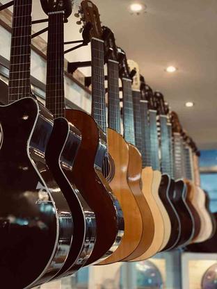 گیتار در طرح ها و رنگ های مختلف در گروه خرید و فروش خدمات و کسب و کار در مازندران در شیپور-عکس1