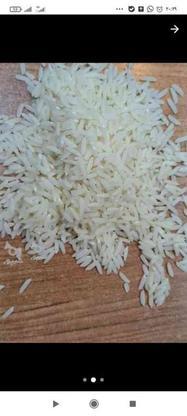 برنج هاشمی درجه یک،مال زمین خودمونه در گروه خرید و فروش خدمات و کسب و کار در مازندران در شیپور-عکس1