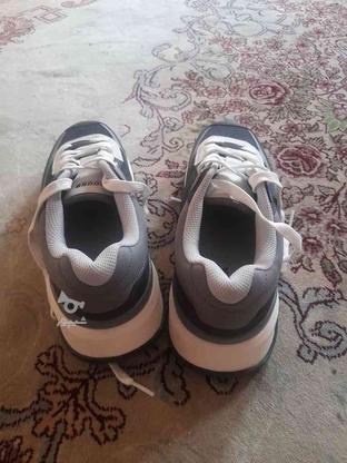 کفش برشکا سایز 40 در گروه خرید و فروش لوازم شخصی در فارس در شیپور-عکس1