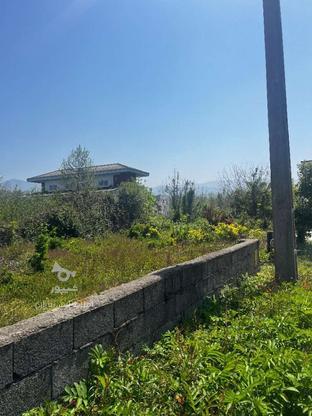 فروش زمین مسکونی 391 متر در اسبچین در گروه خرید و فروش املاک در مازندران در شیپور-عکس1