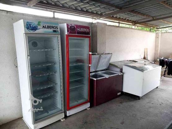 یخچال فریزر های فروشگاهی در گروه خرید و فروش صنعتی، اداری و تجاری در مازندران در شیپور-عکس1