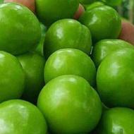 گوجه سبز شهریار