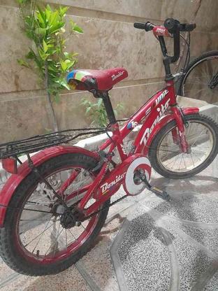دوچرخه 16 سالم بدون ایراد در حد نو در گروه خرید و فروش ورزش فرهنگ فراغت در تهران در شیپور-عکس1