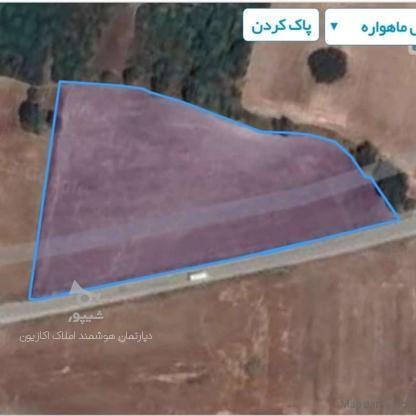 فروش زمین کشاورزی 6000 متر در چهار دانگه در گروه خرید و فروش املاک در مازندران در شیپور-عکس1
