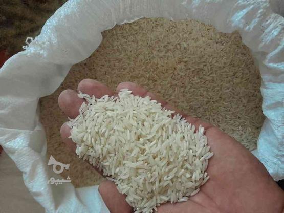 برنج فجر درجه یک در گروه خرید و فروش خدمات و کسب و کار در گلستان در شیپور-عکس1