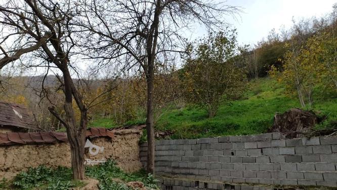 زمین ییلاقی در سوادکوه 200متر در گروه خرید و فروش املاک در مازندران در شیپور-عکس1