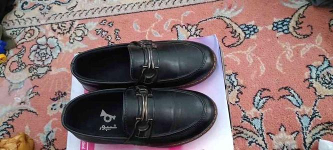 کفش بچگانه سایز32فقط یکبار استفاده شده در گروه خرید و فروش لوازم شخصی در آذربایجان غربی در شیپور-عکس1