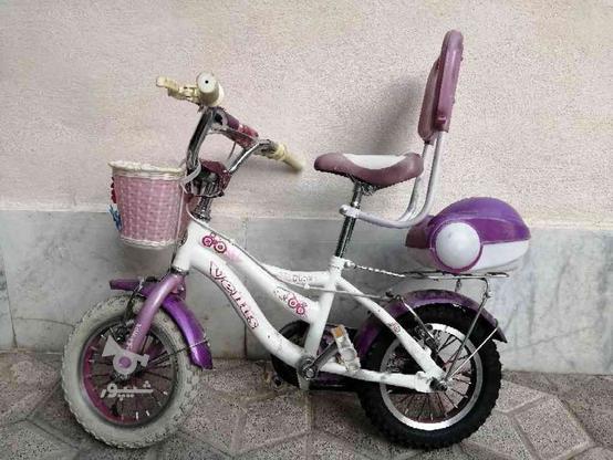 دوچرخه سایز 12 در گروه خرید و فروش ورزش فرهنگ فراغت در خراسان رضوی در شیپور-عکس1