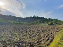 فروش زمین 4000 متر در جاده هراز در شیپور