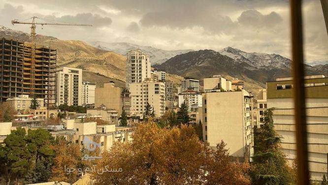 فروش آپارتمان 152 متر در زعفرانیه+ دید وویو باغ در گروه خرید و فروش املاک در تهران در شیپور-عکس1