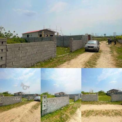 فروش زمین سرمایه‌گذاری 302 متر در ولیسده در گروه خرید و فروش املاک در مازندران در شیپور-عکس1
