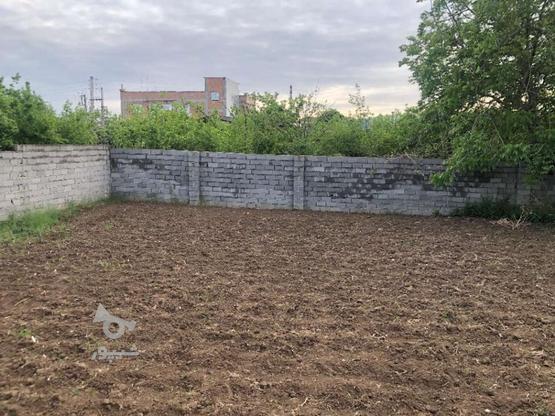 فروش زمین 300 متری تو‌بافت در گروه خرید و فروش املاک در مازندران در شیپور-عکس1
