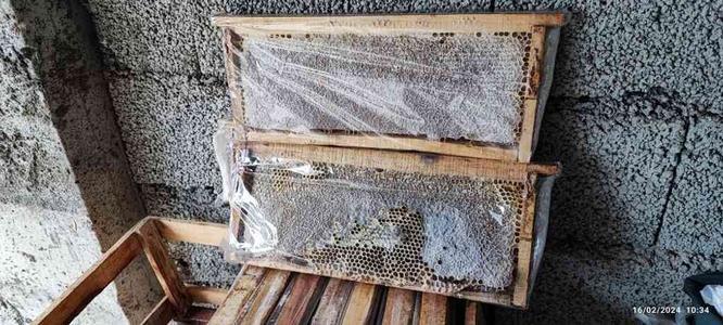 عسل طبیعی املش در گروه خرید و فروش خدمات و کسب و کار در گیلان در شیپور-عکس1