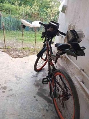 دوچرخه ‌‌‌‌‌ در گروه خرید و فروش ورزش فرهنگ فراغت در گیلان در شیپور-عکس1