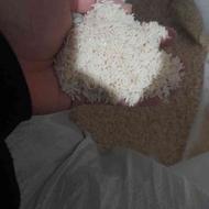 برنج طارم دمسیاه امساله