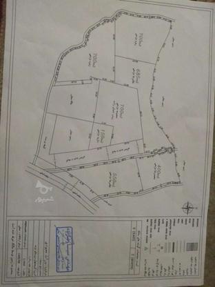 زمین مسکونی و تجاری550متر در گروه خرید و فروش املاک در گیلان در شیپور-عکس1