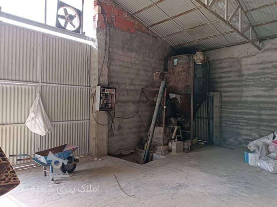 فروش صنعتی مرغ داری 12 هزارتایی جاده سروخرود در گروه خرید و فروش املاک در مازندران در شیپور-عکس1