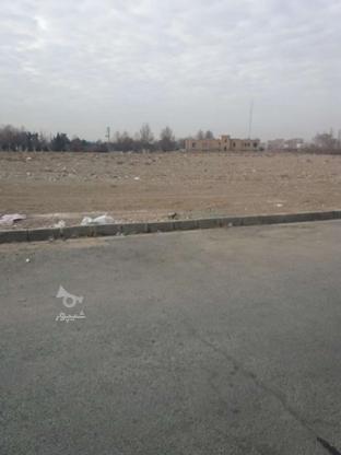 تهاتر وفروش زمین مسکونی در گروه خرید و فروش املاک در البرز در شیپور-عکس1