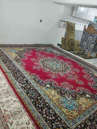 فروش فرش قدیمی دوازده متری در گروه خرید و فروش لوازم خانگی در مازندران در شیپور-عکس1