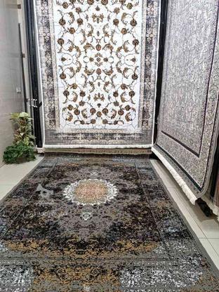 فرش سه بعدی دستبافتگونه نمایندگی کارخانه بخرید در گروه خرید و فروش لوازم خانگی در اردبیل در شیپور-عکس1