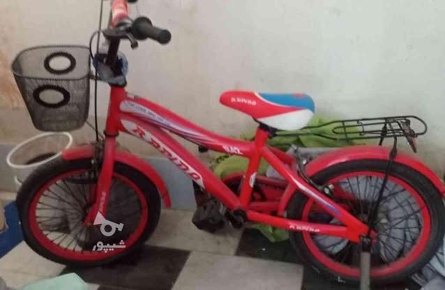 دوچرخه 16 نو در گروه خرید و فروش ورزش فرهنگ فراغت در مازندران در شیپور-عکس1