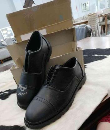 کفش مردانه در گروه خرید و فروش لوازم شخصی در زنجان در شیپور-عکس1