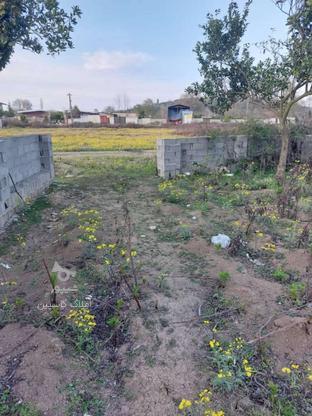 فروش زمین باغی 256 متر در قادیکلا در گروه خرید و فروش املاک در مازندران در شیپور-عکس1