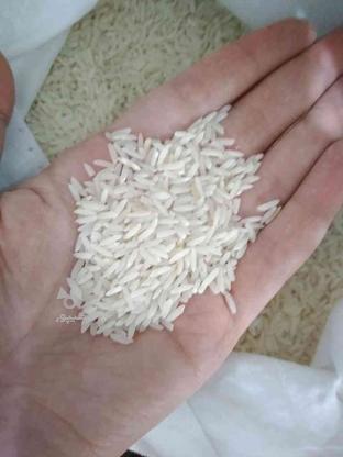 برنج درجه یک هاشمی مستقیم از کشاورز در گروه خرید و فروش خدمات و کسب و کار در تهران در شیپور-عکس1
