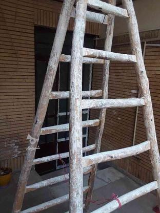 نردبان چوبی در گروه خرید و فروش صنعتی، اداری و تجاری در خراسان رضوی در شیپور-عکس1