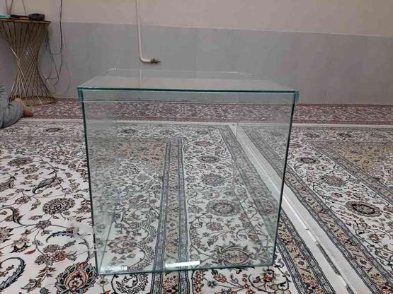 باکس شیشه ای نوی نو درب دار در گروه خرید و فروش لوازم خانگی در خراسان رضوی در شیپور-عکس1