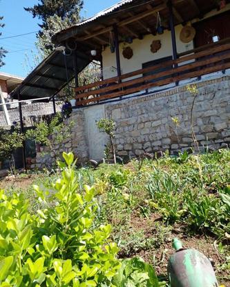 ویلا خانه باغ واقع در ساری روستای سرکت در گروه خرید و فروش املاک در مازندران در شیپور-عکس1