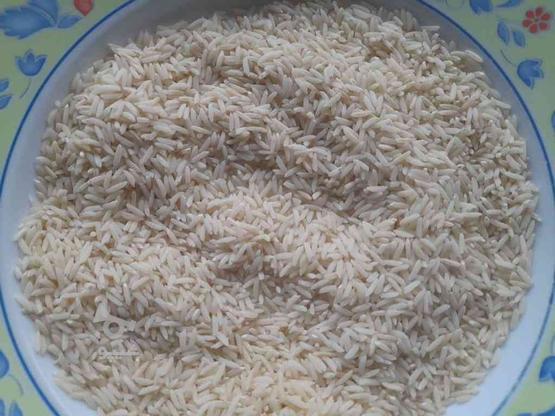 برنج طارم ییلاق سوادکوه بدون سم کشاورزی در گروه خرید و فروش خدمات و کسب و کار در مازندران در شیپور-عکس1