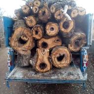خرید و فروش انواع چوب درختان همه نوع چوب