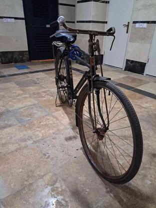 فروش دوچرخه فونیکس بدون هیچ هزینه ای همراه بالوازم جانبی در گروه خرید و فروش ورزش فرهنگ فراغت در مازندران در شیپور-عکس1
