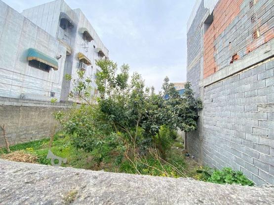 فروش زمین مسکونی 177 متر در کلاکسر در گروه خرید و فروش املاک در مازندران در شیپور-عکس1