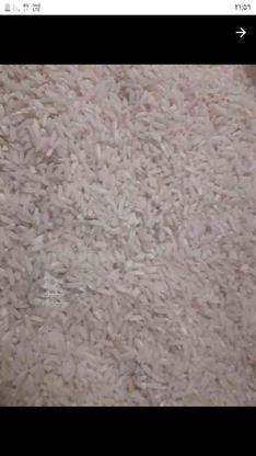 برنج طارم محلی 20کیلوفروشی  در گروه خرید و فروش خدمات و کسب و کار در مازندران در شیپور-عکس1