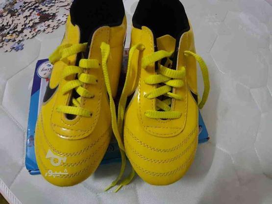 کفش فوتبال پسرانه سایز 35 در گروه خرید و فروش ورزش فرهنگ فراغت در مازندران در شیپور-عکس1