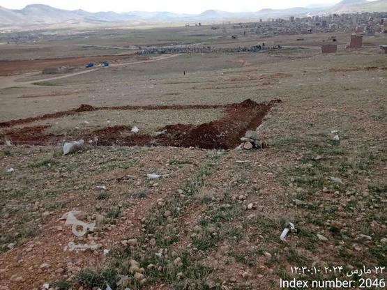 زمین آماده ساخت دیم شیخه چکی در گروه خرید و فروش املاک در آذربایجان غربی در شیپور-عکس1