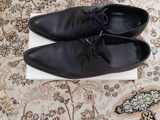 کفش مجلسی سایز 42 در گروه خرید و فروش لوازم شخصی در سمنان در شیپور-عکس1