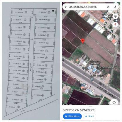 زمین سرمایه گذاری305 متر در گروه خرید و فروش املاک در مازندران در شیپور-عکس1