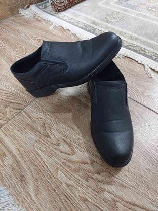 کفش مجلسی مردانه در گروه خرید و فروش لوازم شخصی در تهران در شیپور-عکس1
