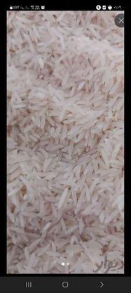 برنج فجر سوزنی در گروه خرید و فروش خدمات و کسب و کار در گلستان در شیپور-عکس1