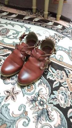 کفش سالم سایز38 در گروه خرید و فروش لوازم شخصی در البرز در شیپور-عکس1