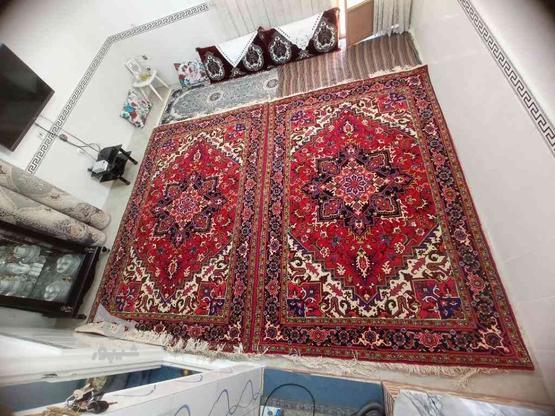 فرش دستبافت تاجری هریس مناسب برای جهیزیه عروس در گروه خرید و فروش لوازم خانگی در تهران در شیپور-عکس1