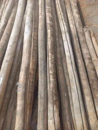 خریدار چوب همه رقم در گروه خرید و فروش خدمات و کسب و کار در همدان در شیپور-عکس1