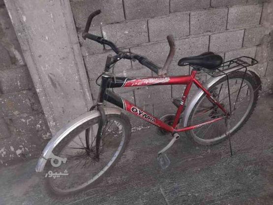 فروش دوچرخه دست دوم سالم در گروه خرید و فروش ورزش فرهنگ فراغت در مازندران در شیپور-عکس1