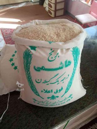 برنج دانه بلند والک شده برنج هاشمی خوش پخت در گروه خرید و فروش خدمات و کسب و کار در آذربایجان غربی در شیپور-عکس1